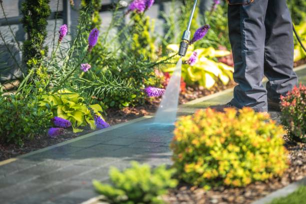  Basye, VA Pressure Washing Pros