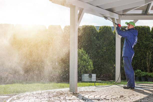 Best Boat and Dock Cleaning  in Basye, VA