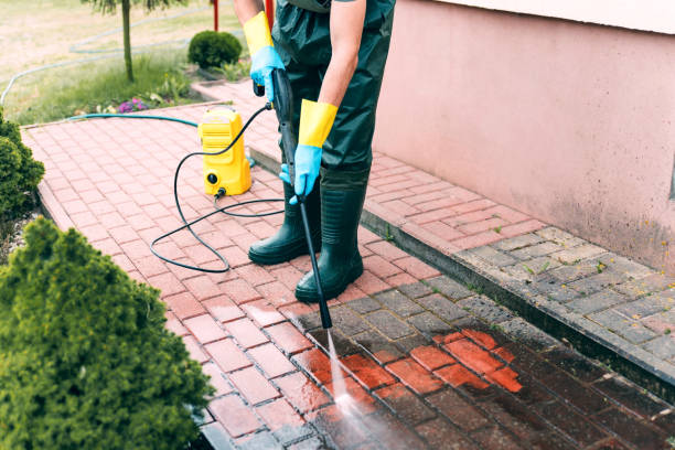 Trusted Basye, VA Pressure Washing Services Experts