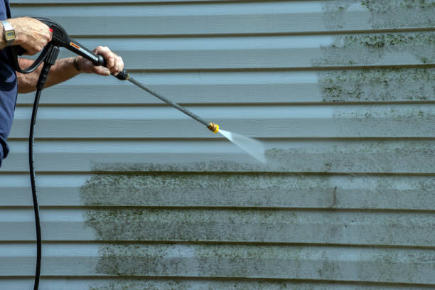 Best Oil Spill Cleanup  in Basye, VA