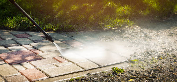 Best Spring Cleaning  in Basye, VA