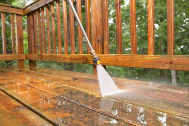 Best Sidewalk and Walkway Cleaning  in Basye, VA