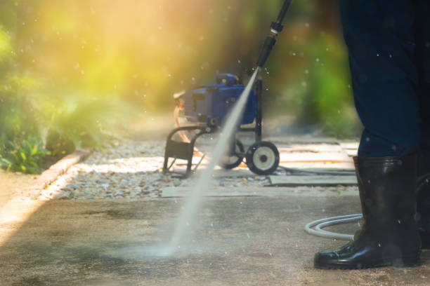 Best Pool Deck Cleaning  in Basye, VA